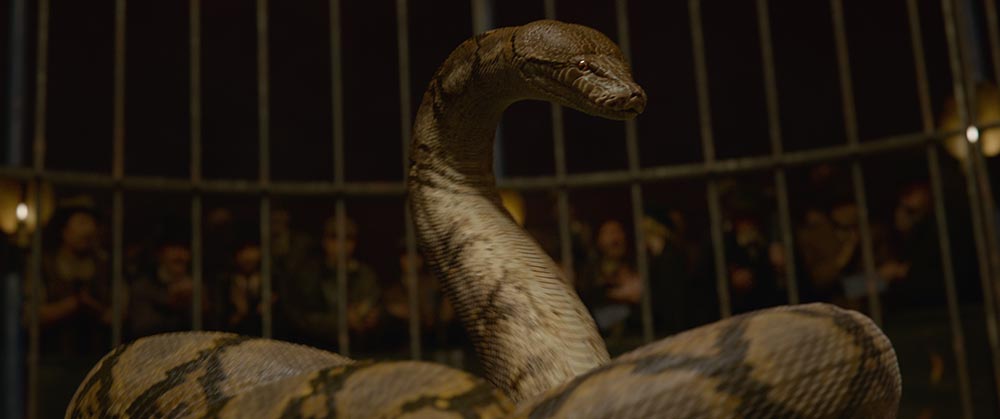 NAGINI