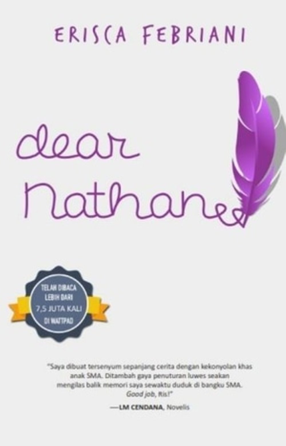 Gambar Novel Dear Nathan