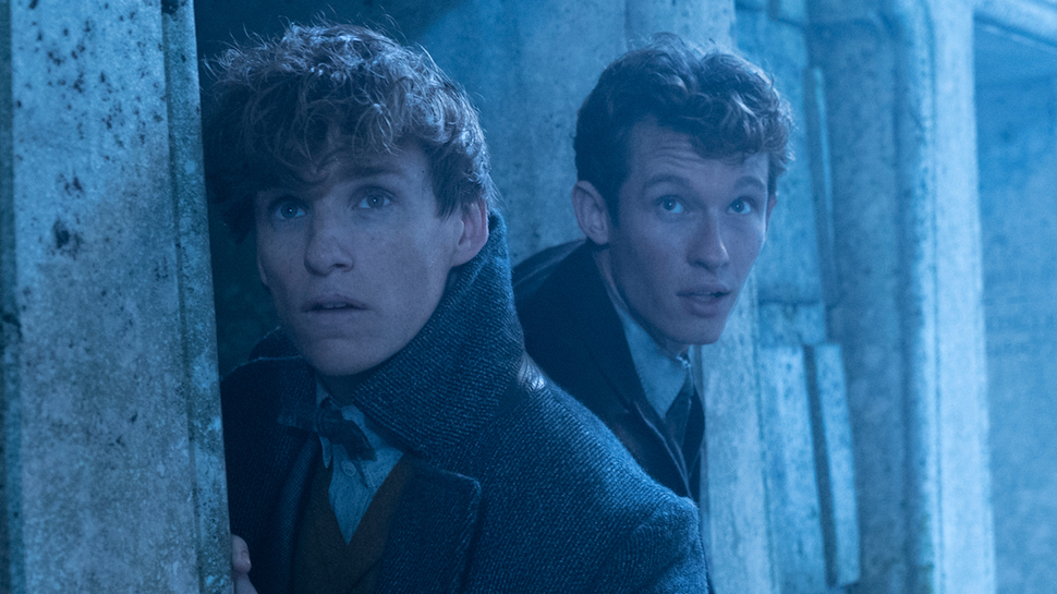 Newt-Theseus-Scamander