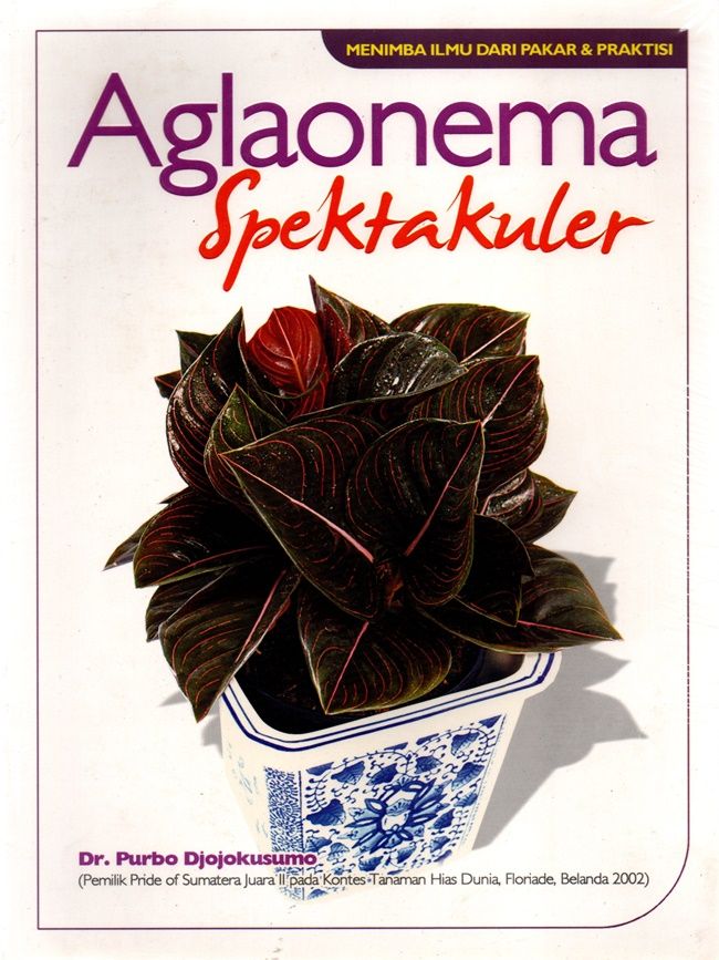 aglaonema