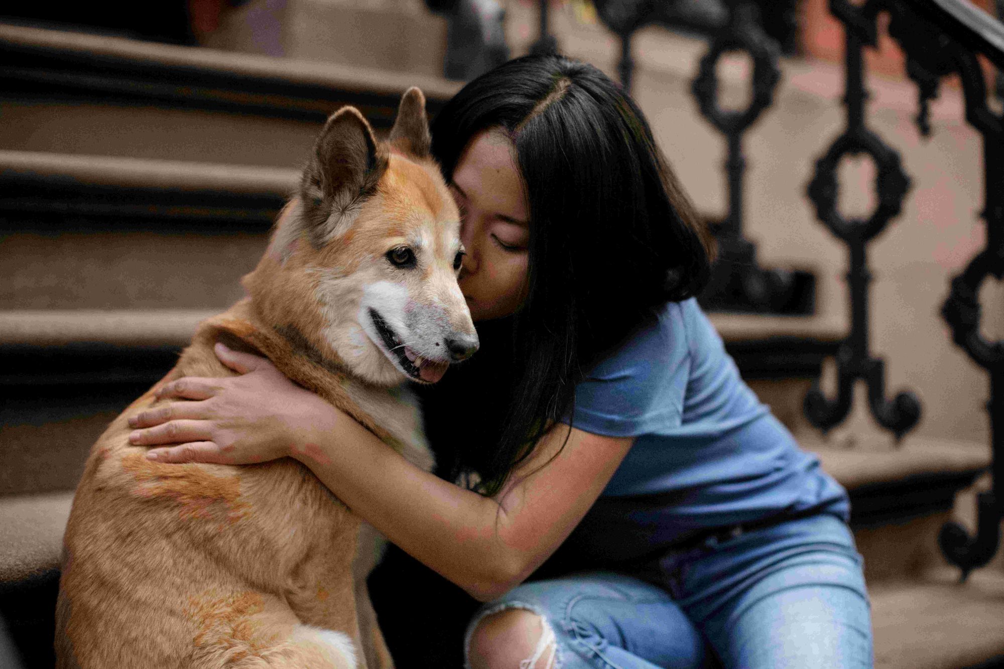 Membuka Horison Baru: Seminar "Animal Assisted Therapy" di Gramedia Emerald Bintaro