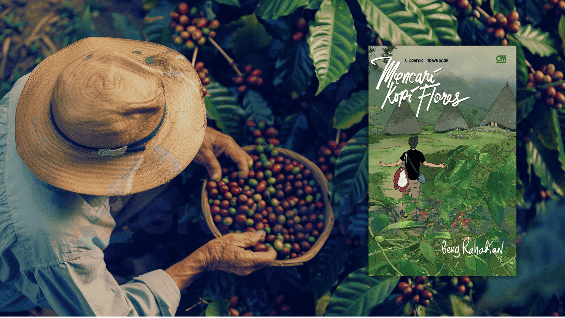 Rahasia Kopi Flores yang Jarang Diketahui Orang!