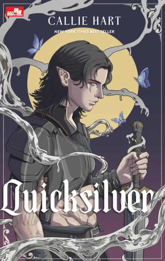 novel