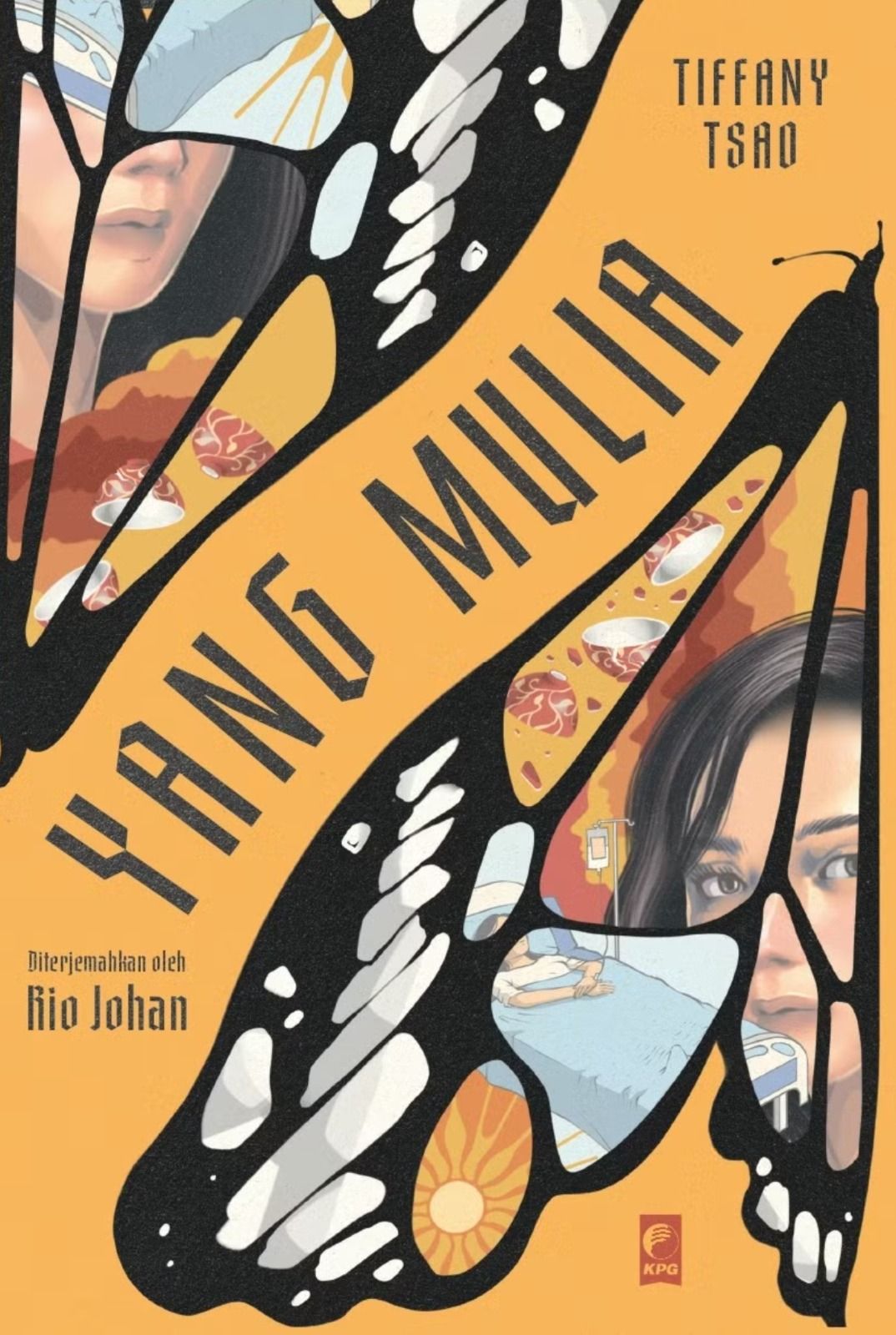 novel