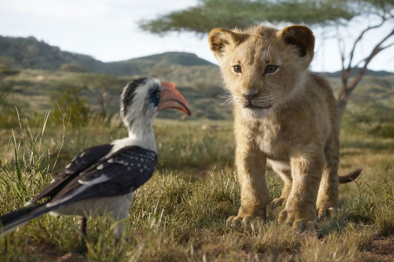 Buat Kamu Yang Suka Fabel Tonton 5 Film Keren Ini