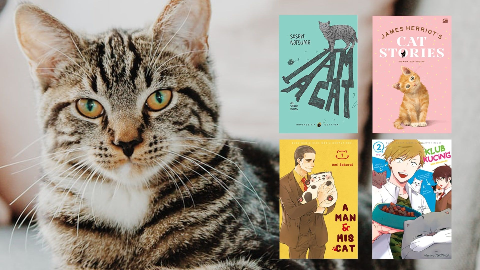 Pecinta Kucing Merapat, Ini 9 Rekomendasi Buku yang Berisi Cerita Kucing